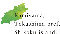 Kamiyama,Tokushima pref,Shikoku island.